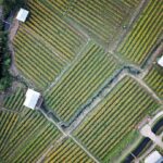 Photo Vertical farming