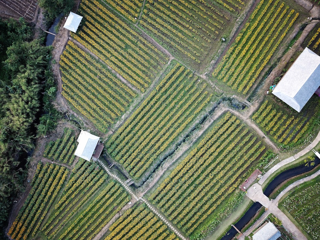 Photo Vertical farming