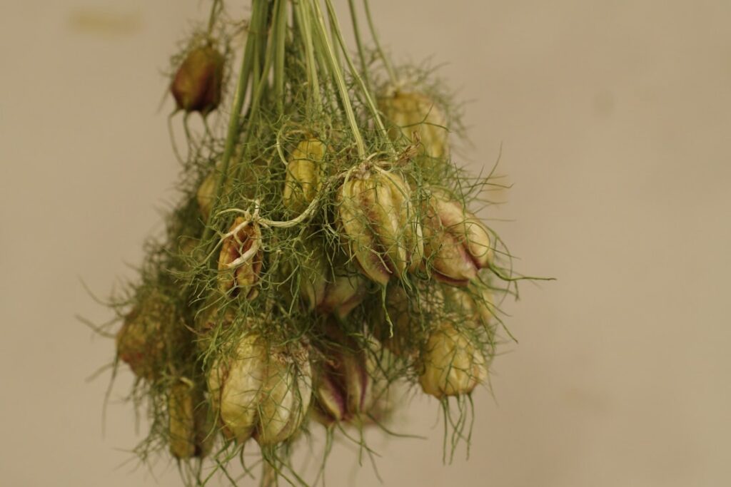 Photo pasty warzywne