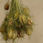 Photo pasty warzywne