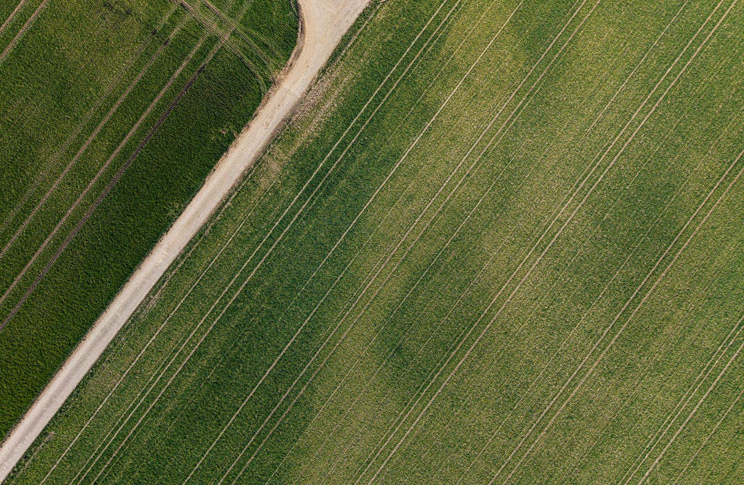 Photo location of agricultural land